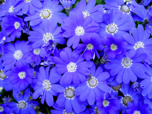 616380 (a): :1600x1200